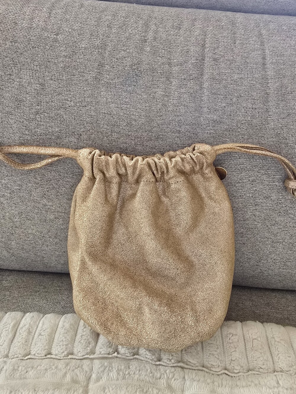 Clare V. Gold Pouch Bag